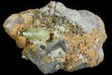 Lustrous, Yellow Apatite Crystal on Calcite - Morocco #84320-2
